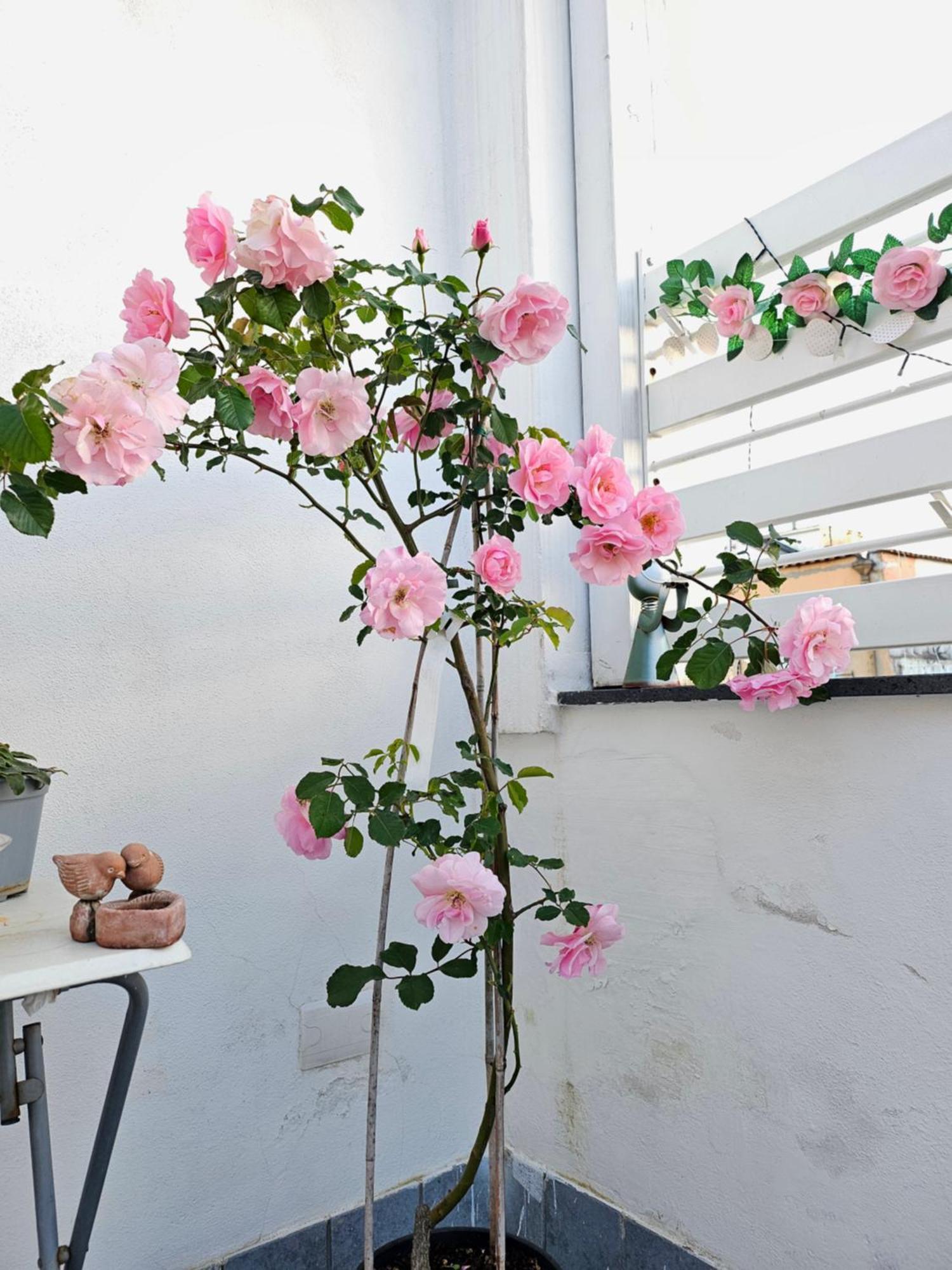 Sky-Terrace In Central Station, 3 Bedrooms Napoli Ngoại thất bức ảnh